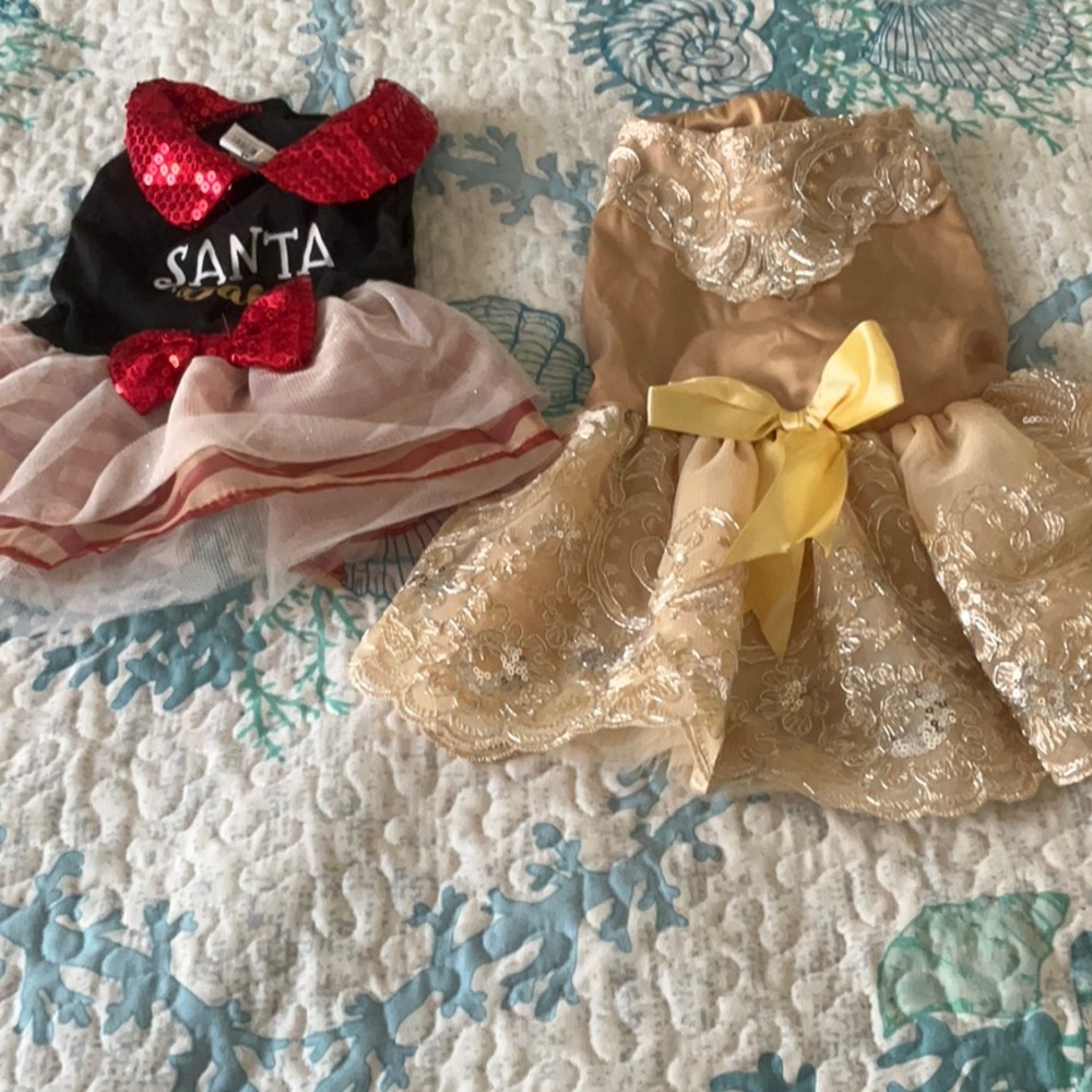 Festive Dog Dress Set - Red and Gold